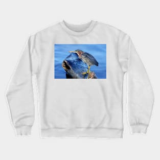 Green Heron Crewneck Sweatshirt